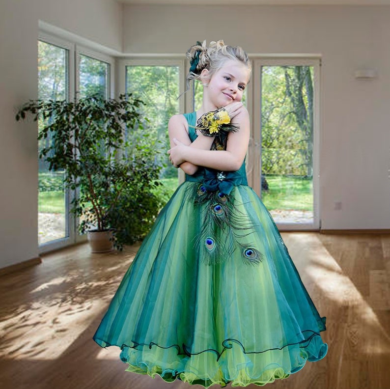 peacock dress for girl