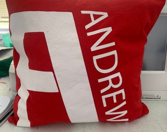 Andrews University T-shirt Pillow