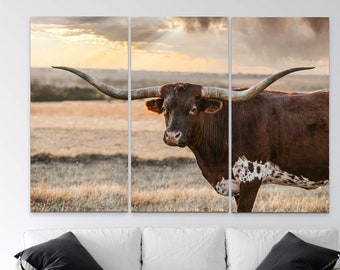 Three piece canvas wall art triptych, Texas Longhorn 3 piece gallery set for large wall. Modern western decor cow photo for over the couch