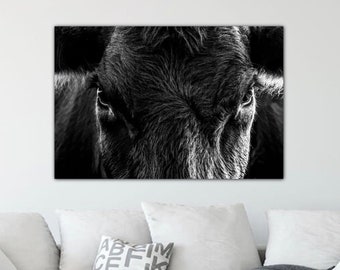 Cow canvas wall art Black Angus cow print on canvas, large cow canvas for modern office, western decor or ranch. Oversize cow picture