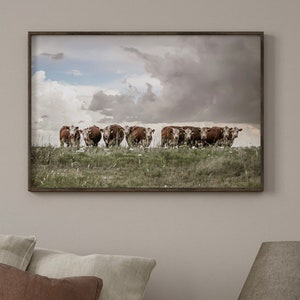 Hereford Cow Art Canvas - Western Home Decor Hereford Cow Print - Cow Wall Art for Country Kitchen Dining Room Decor - Ranch Home Wall Art