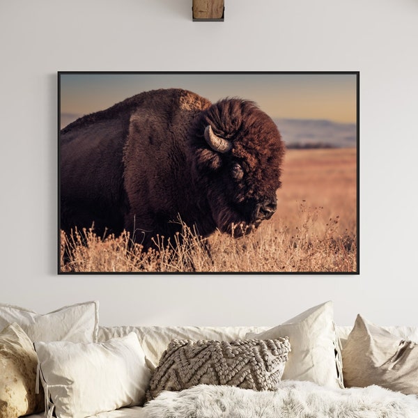 Bison Photography - Buffalo Canvas Print - Western Bison Canvas Art - Buffalo Photo Print - Western Office Decor - Oklahoma Wall Art Canvas