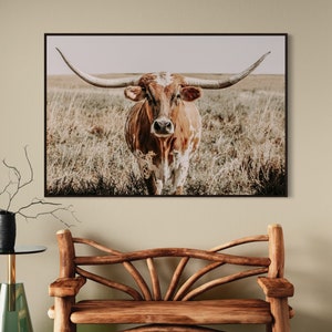 Longhorn Cow Print - Longhorn Canvas Print - Western Home Decor Cow Picture - Neutral Farmhouse Colors - Barn Wood Frames ©Teri James