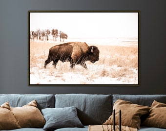 Bison Wall Art - Buffalo Wall Art - Boho Western Art - Rustic Home Decor - American Bison In Snow - Tallgrass Prairie Print Farmhouse Art