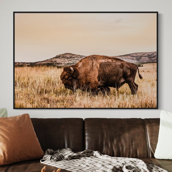 Large Bison Wall Art - Buffalo Canvas Print - Western Office Decor - Bison Canvas Art - Large Buffalo Photo - Western Decor Art Oklahoma