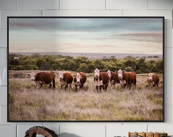 Ranch House Decor - Hereford Cow Canvas - Cattle Photo Print - Western Decor Framed Cow Art - Hereford Cattle Photography - Cow Art