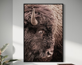 Buffalo Canvas Print - Bison Wall Art - American Bison Photo - Western Wall Decor - Vertical Bison Artwork - Western Wildlife Office Decor