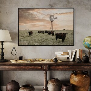 Black Angus Cattle Wall Art - Cow Canvas Print - Western Decor Office Wall Art - Angus Cow Photo Print - Old Windmill Photography Western