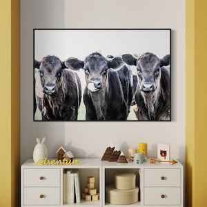 Cow Nursery Decor - Western Nursery Art - Cowboy Baby Decor - Cowgirl Bedroom Wall Decor - Toddler Bedroom Cow Canvas Art - Cattle Photo