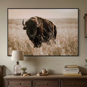 Buffalo Wall Art - Bison Canvas Print - Western American Bison Wall Art - Buffalo Canvas Print - Rustic Western Fireplace - Prairie Print