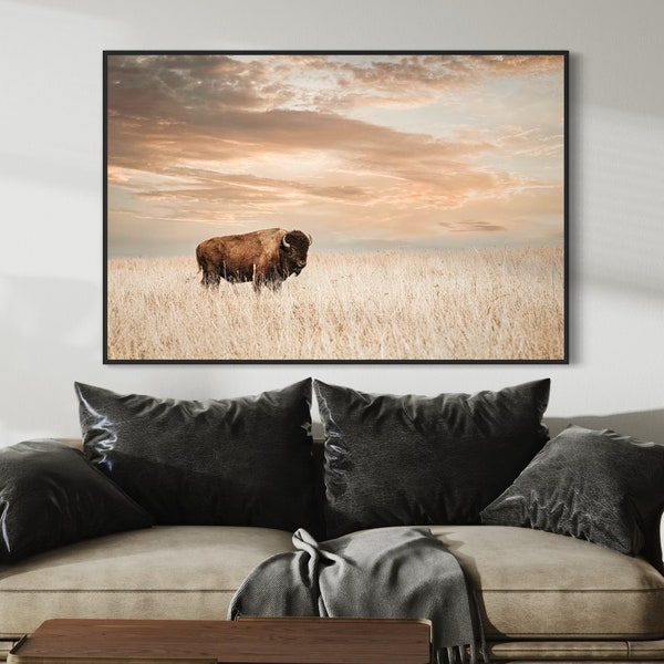 Bison Wall Art - Buffalo Wall Art - Western Decor American Bison Prairie Photo - Framed Wrapped Canvas Oklahoma Photography - Western Home