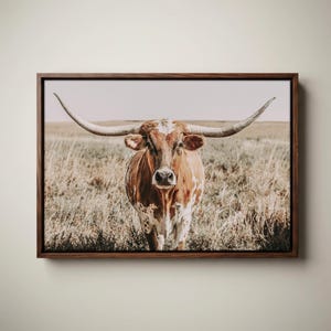 May include: A framed wall art print featuring a longhorn cow with a brown and white spotted coat standing in a dry, grassy field. The animal is centered, facing forward with its long, curved horns extending horizontally across the frame.