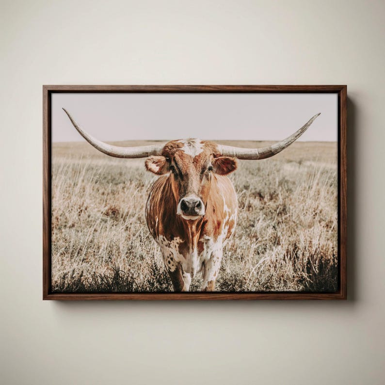 May include: A framed wall art print featuring a longhorn cow with a brown and white spotted coat standing in a dry, grassy field. The animal is centered, facing forward with its long, curved horns extending horizontally across the frame.