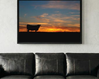 Large Angus Cow Picture - Western Cattle Wall Art -  Black Angus Canvas Wrap Print - Ranch Home Decor