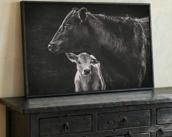 Black & White Cow and Calf Canvas Gallery Wrapped Print - Large Farm Animal Wall Art for Home Decor - Simple Western Style - Cow Wall Art