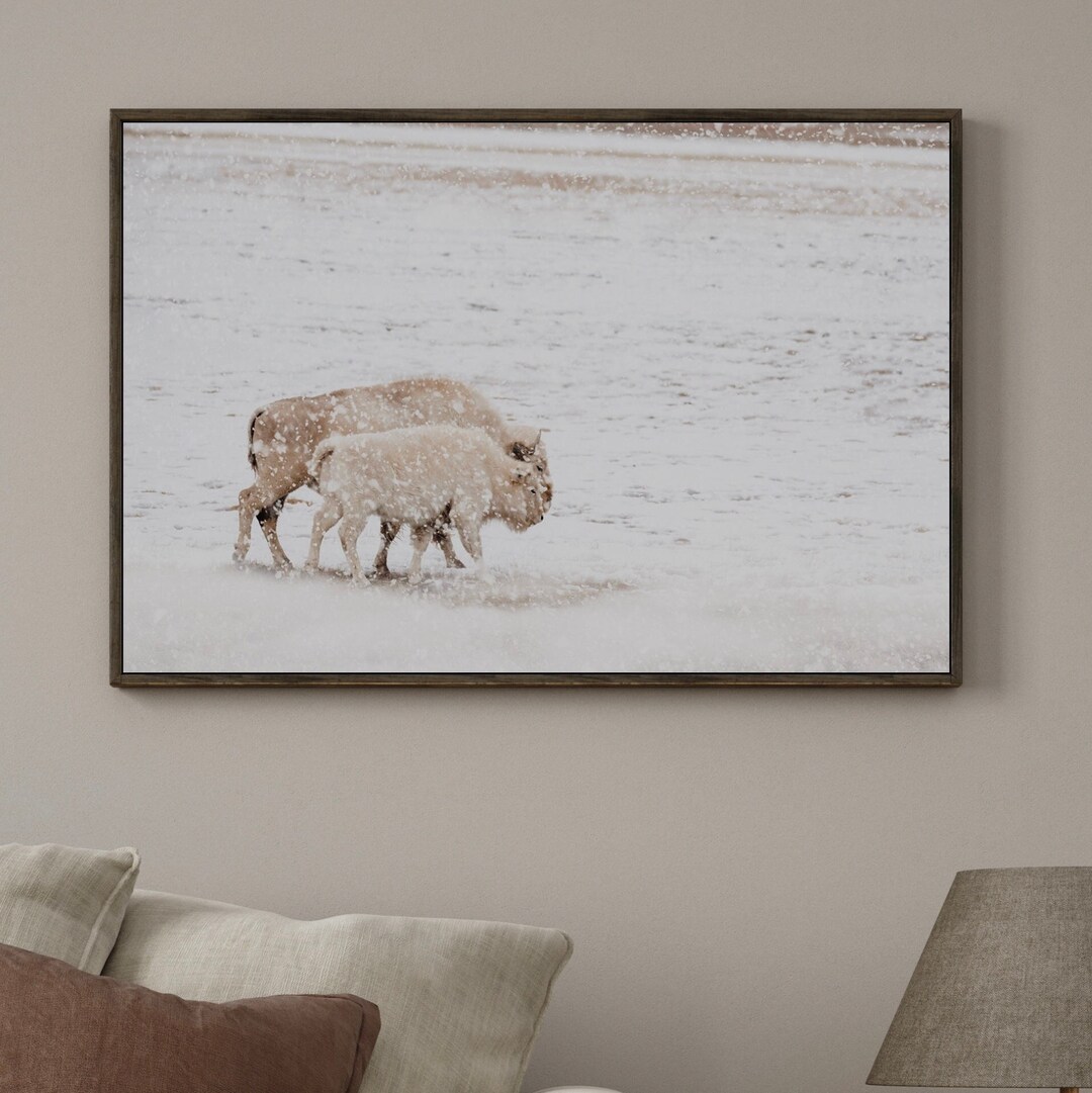 White Bison Wall Art Spirit Buffalo Canvas Print Native American ...