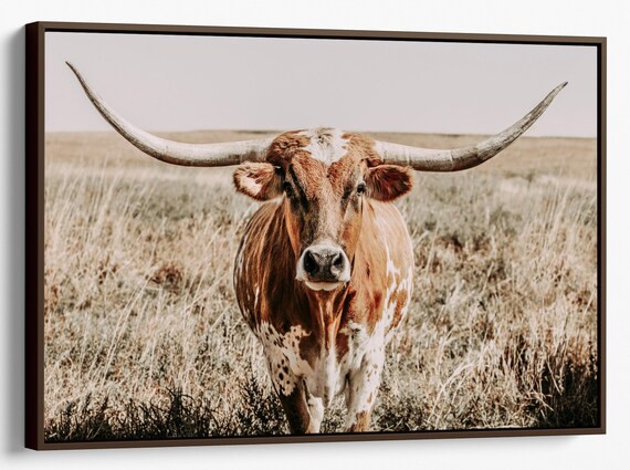 Longhorn Cow Print Or Canvas Western Home - Longhorn Home Decor Longhorn Cow Print Or Canvas Western Home - Longhorn Home Decor