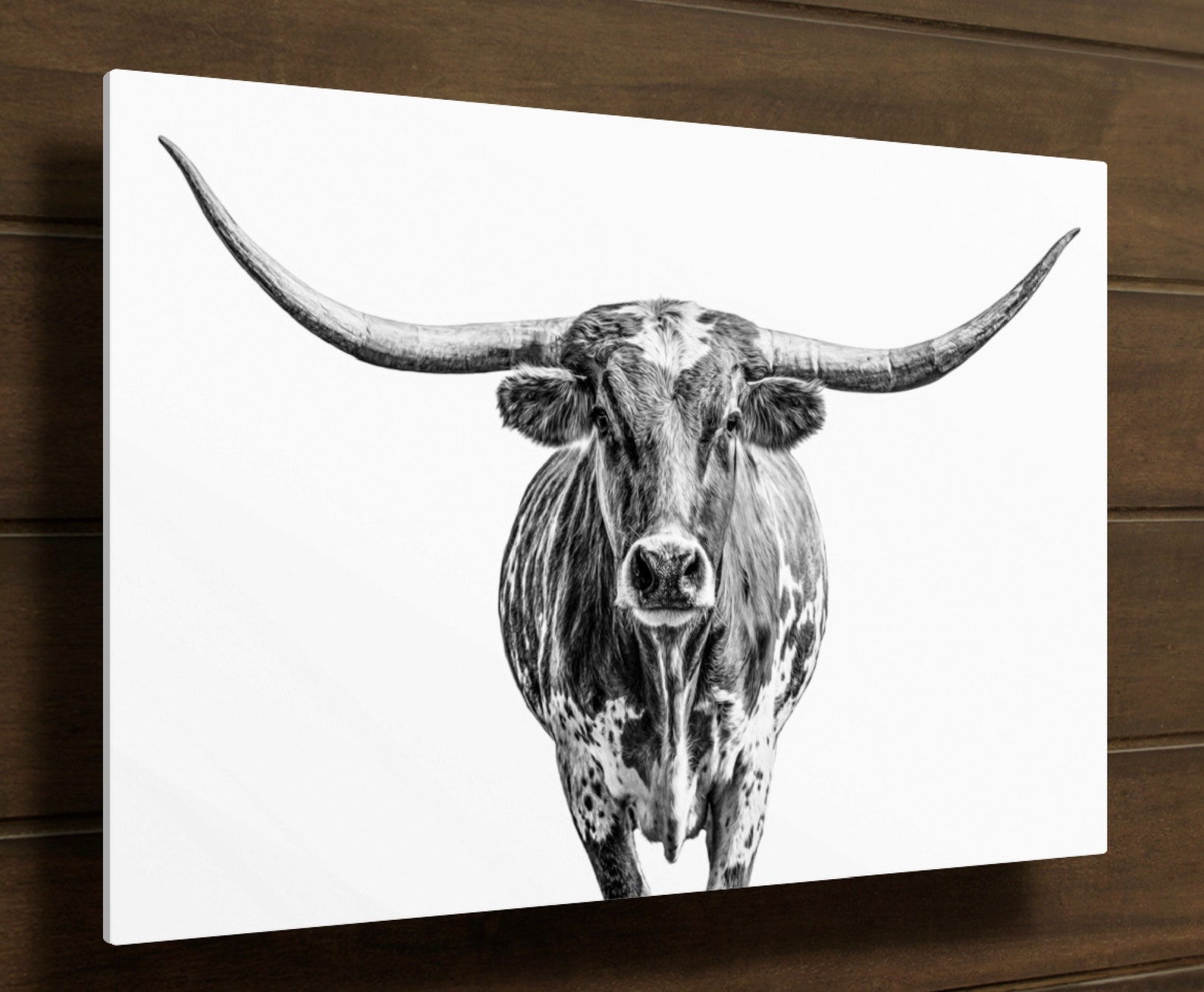 Minimalist Texas Longhorn Cow Canvas Photo Print. Modern Etsy