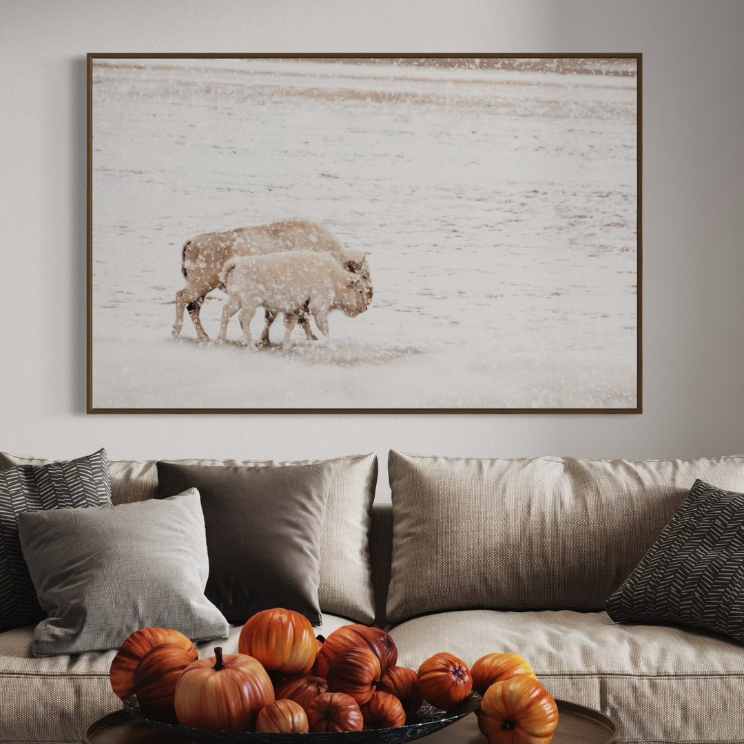 White Bison Wall Art Spirit Buffalo Canvas Print Native American ...