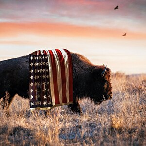 Patriotic Wall Art Bison Canvas Print - American Buffalo USA Flag Canvas - Bison Wall Art - Western Decor Framed Patriotic Art Made in USA image 6