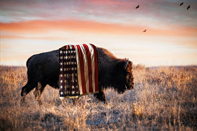 Patriotic Wall Art Bison Canvas Print - American Buffalo USA Flag Canvas - Bison Wall Art - Western Decor Framed Patriotic Art Made in USA image 6
