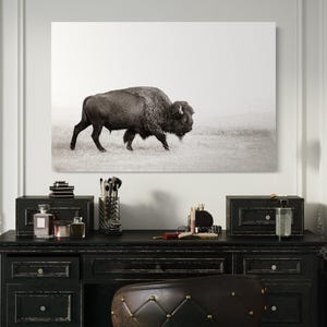 Black and White Buffalo Canvas Wrap - Sepia Bison Photography Print - Western Wall Decor for Living Room or Office - Float Framed Canvas Art