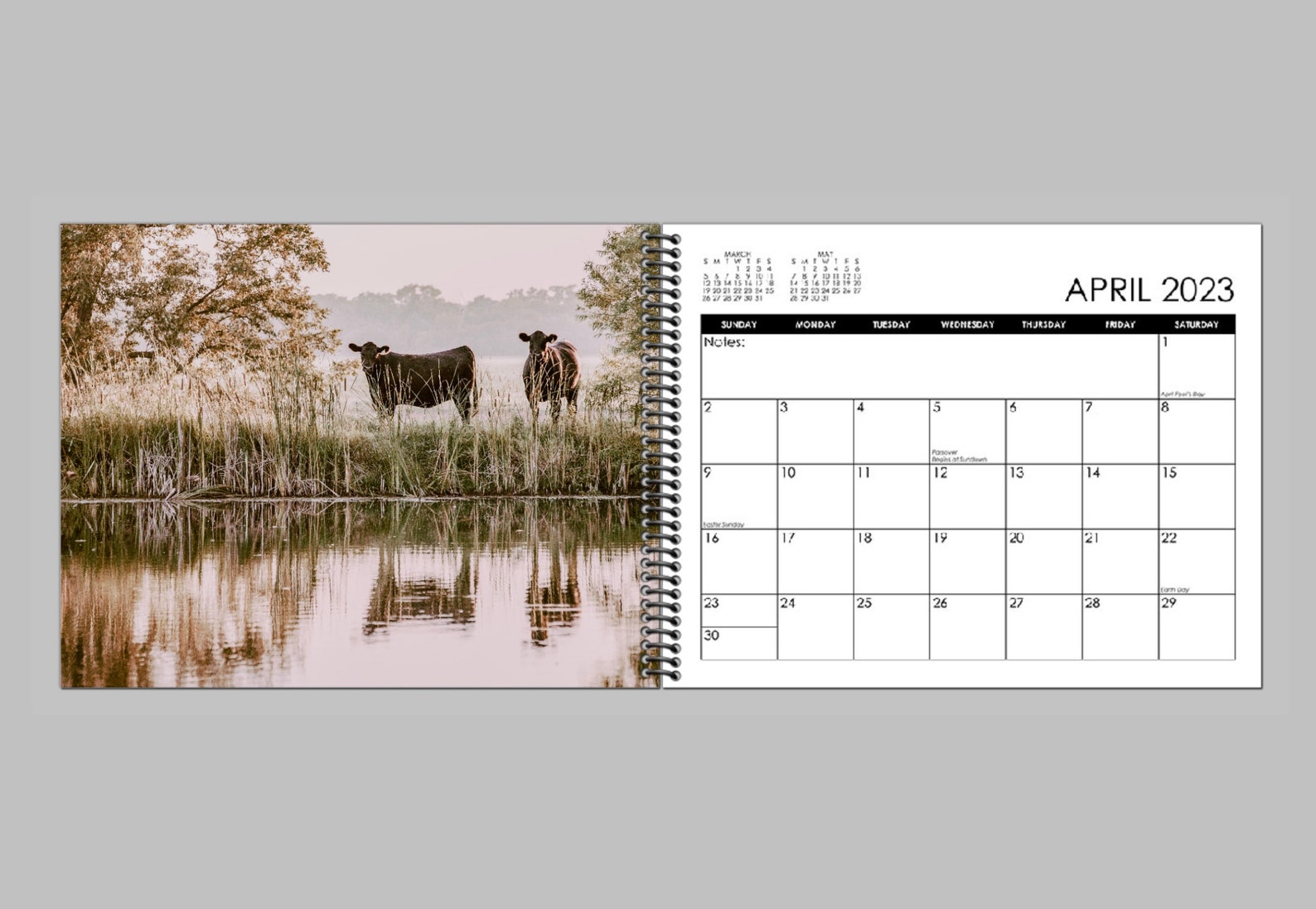2023 Calendar Black Angus Cow Calendar or Desktop Monthly Etsy UK