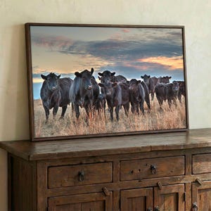 Black Angus Herd Sunset Wrapped Canvas - Framed Cow Art for Ranch and Western Decor - Office and Home Wall Art - Large Cow Canvas Picture