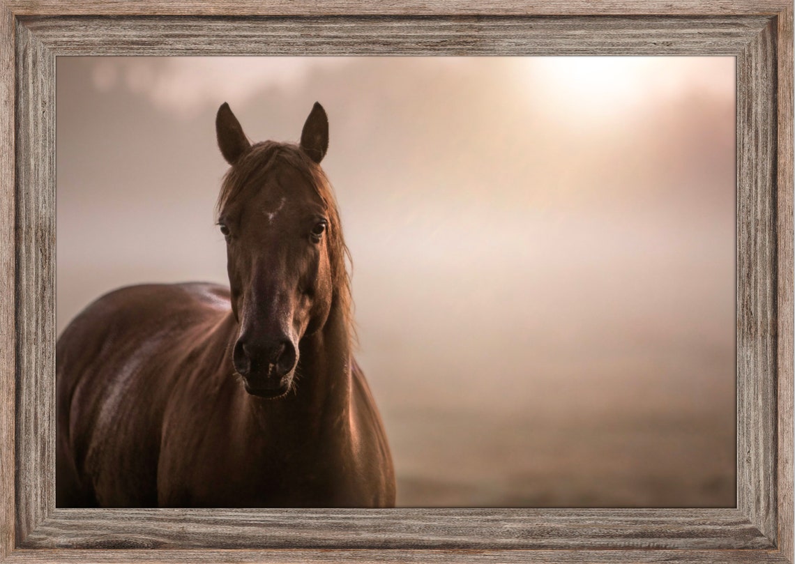 Horse wall art framed horse art oversize wall art western Etsy
