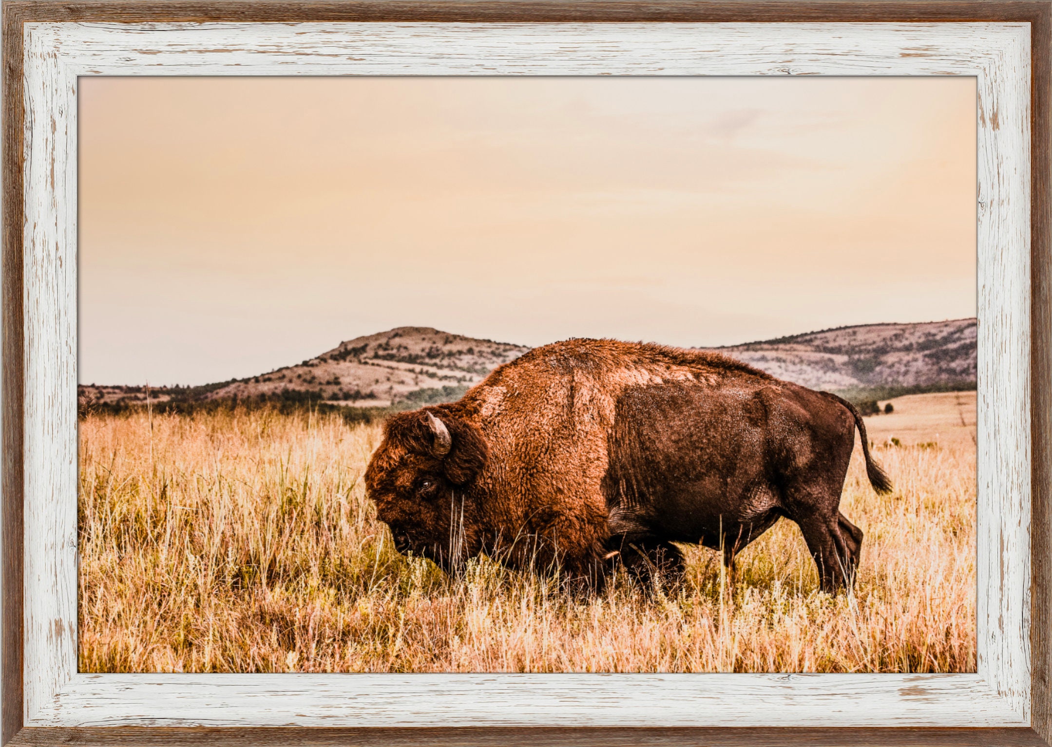 Native American decor bison wall art buffalo canvas print - Etsy Nederland