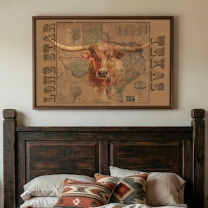 May include: Framed artwork featuring a vintage-style map of Texas with a longhorn illustration. The artwork is in a brown wooden frame and includes the words "Lone Star" and "Texas" vertically on the sides. The color palette includes shades of brown, beige, and red.