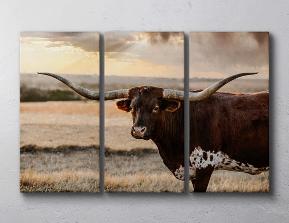 Longhorn Cow Wall Art Set - Triptych - Multi-Panel Set of 3 Canvas