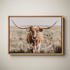 May include: A framed horizontal wall art print featuring a longhorn cow standing in a dry, grassy field. The cow has a brown and white spotted coat and long, curved horns. The scene is captured in natural light with a muted, earthy color palette.