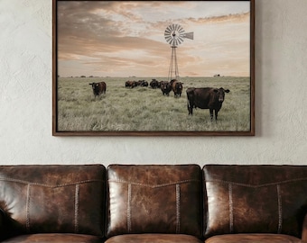 Black Angus Cattle Wall Art - Cow Canvas Print - Western Decor Office Wall Art - Angus Cow Photo Print - Old Windmill Photography Picture
