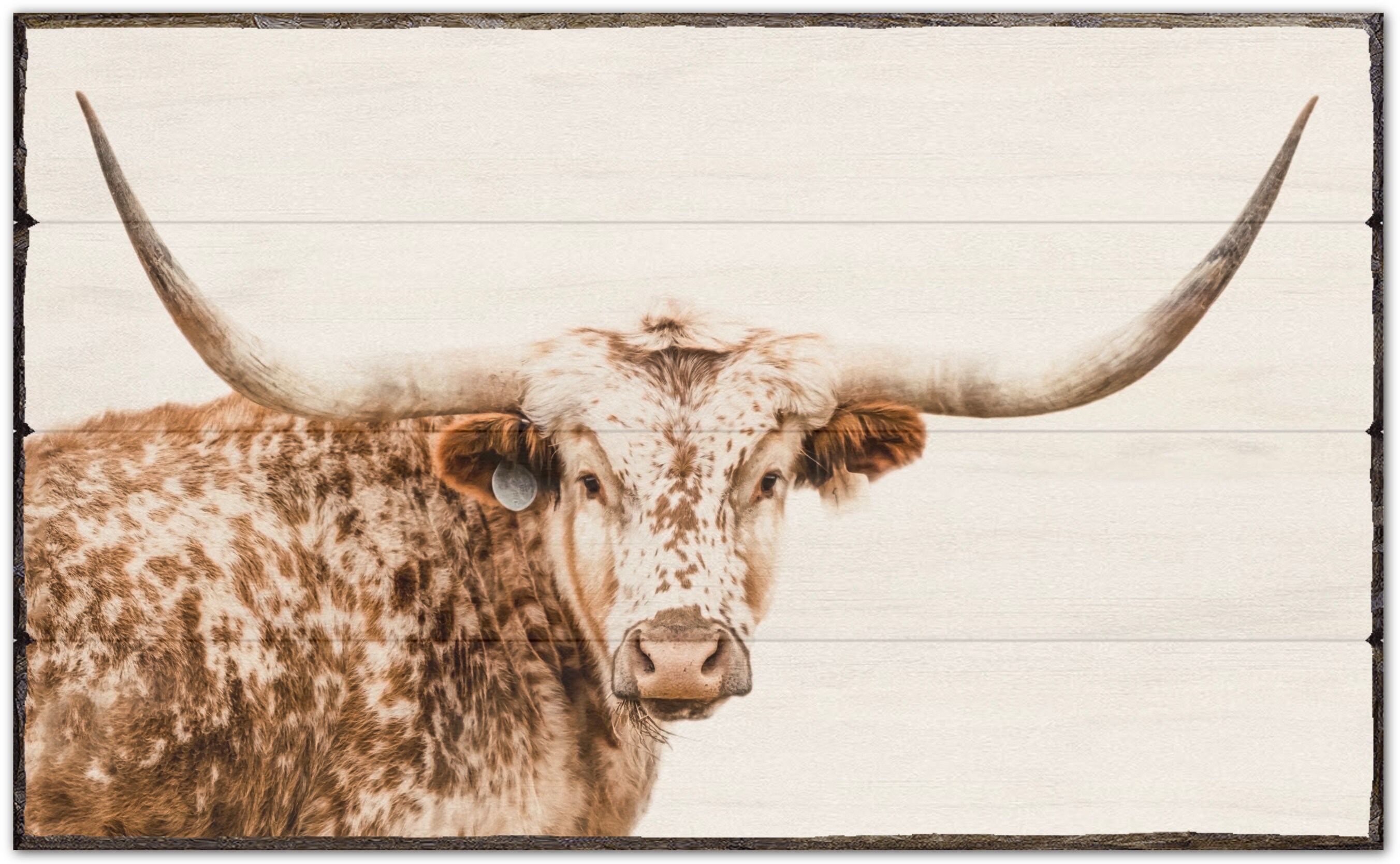 Longhorn decor rustic cow wall art on wood planks farmhouse Etsy