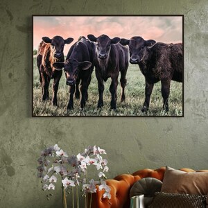 Cow Wrapped Canvas Wall Art for Western Nursery - Black Angus Cattle Photo Print - Cowboy Living Room or Bedroom Decor - Cattle Photography