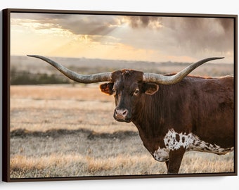 Cow wall art, Longhorn art, Texas longhorn canvas print, metal print or photo print available for extra large wall, western decor wall art