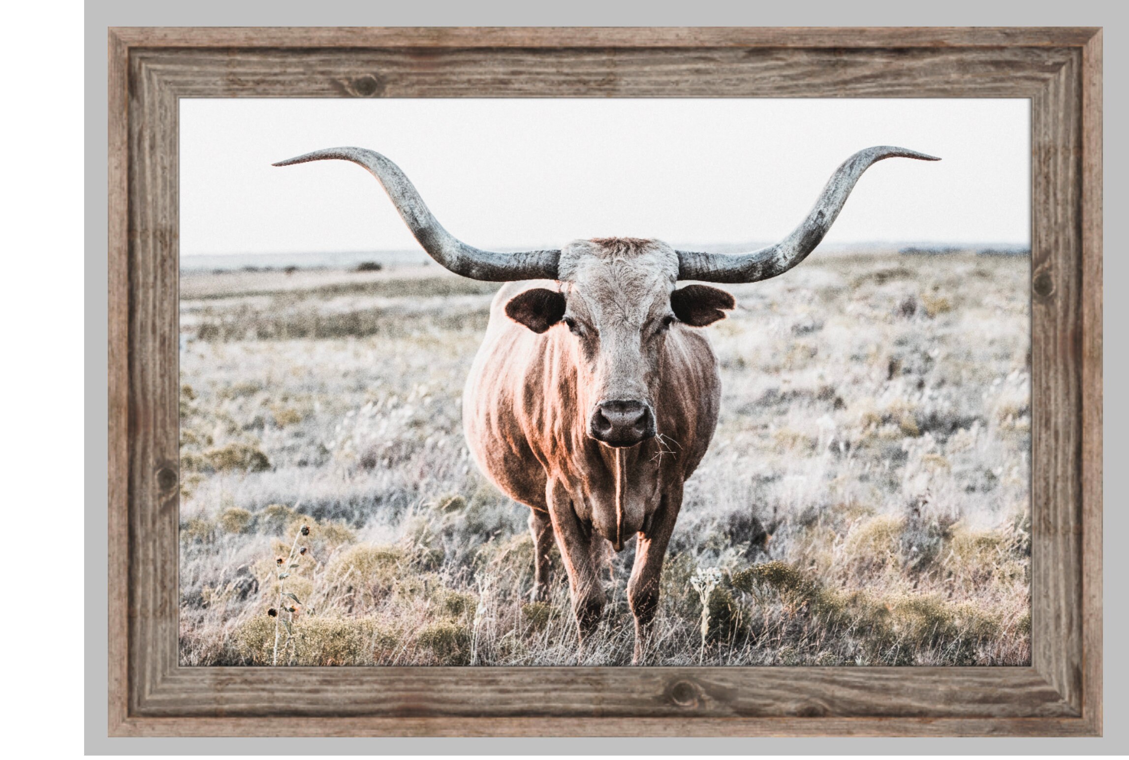 Longhorn canvas western decor Longhorn art cow wall art. Etsy