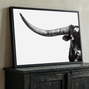 Longhorn Wall Decor - Texas Longhorn Bull Wrapped Canvas Print - Large Modern Western Art for Living Room or Bedroom