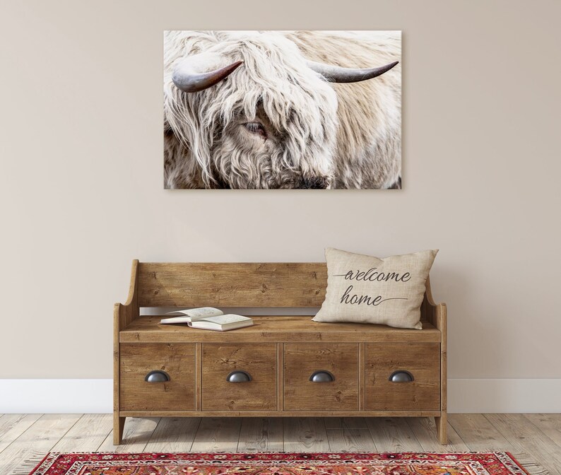 Highland Bull Canvas Print Modern Cow Art Scottish Etsy
