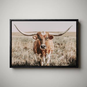 May include: A framed wall art print featuring a longhorn cow with a brown and white spotted coat standing in a dry, grassy field. The animal has long, curved horns extending horizontally. The frame is black and rectangular with a thin profile.