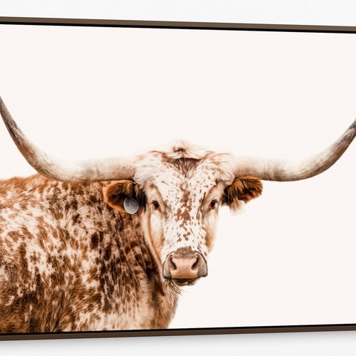Longhorn Canvas Print Or Photo Western Home Decor Cow - Longhorn Home Decor Longhorn Canvas Print Or Photo Western Home Decor Cow - Longhorn Home Decor