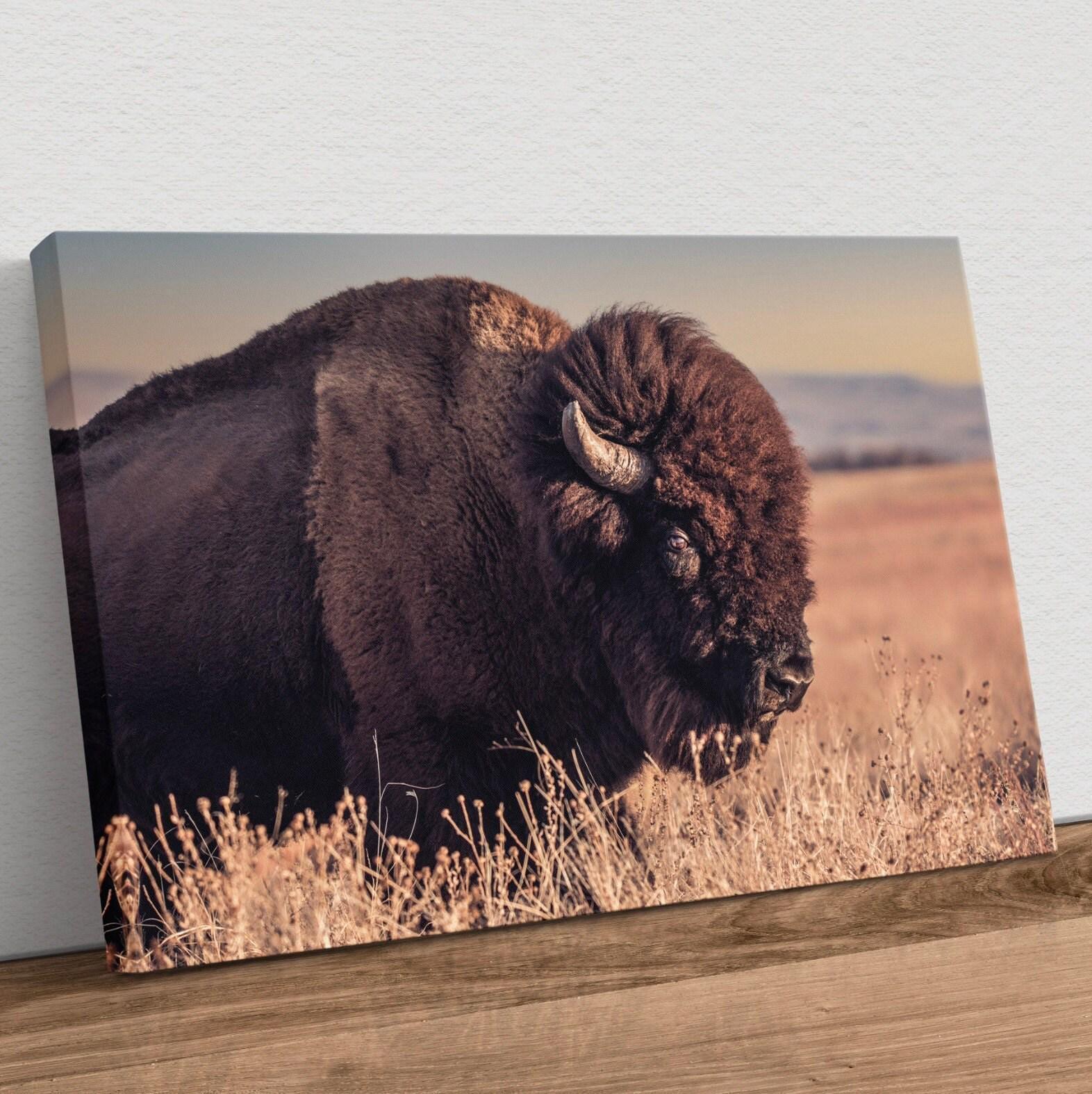 Buffalo Canvas Print - Western Home Artwork - Bison Wall Art - Rustic ...