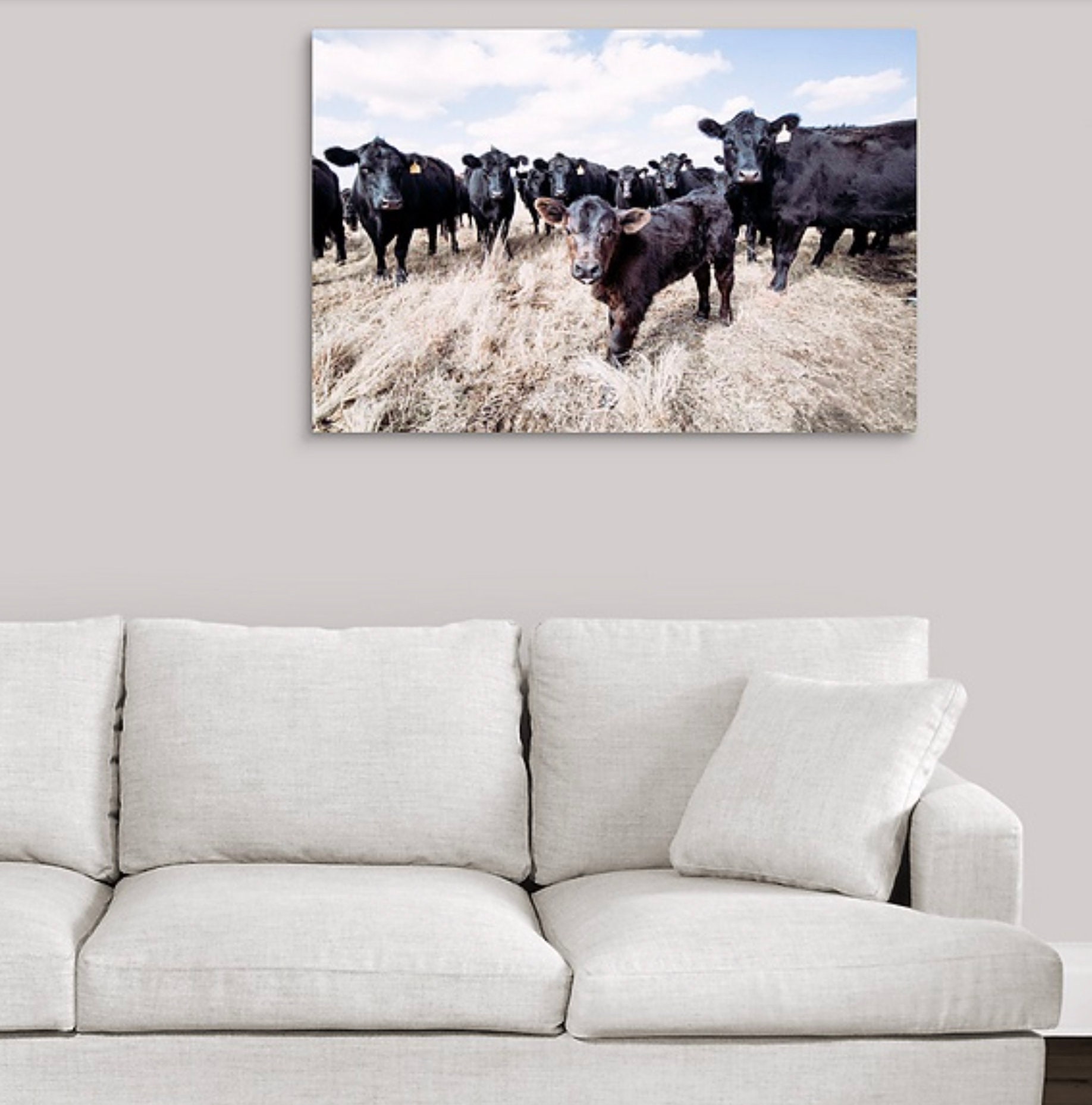 Cow wall art Black Angus cattle canvas print or photo print. Etsy