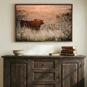 Angus Cattle Sunset Canvas Wall Art - Black Cow Photography Print - Western Ranch Wall Decor - Authentic Photography - Not AI Generated