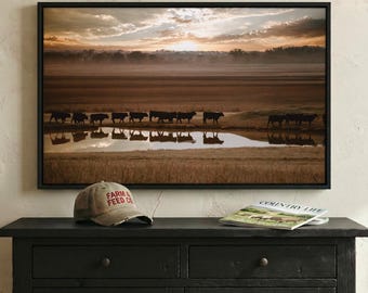 Black Angus Cattle Canvas - Western Decor Print - Oversize Western Living Room Picture - Rustic Bedroom - Float Framed Canvas Wall Art
