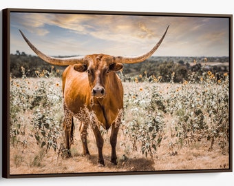 Texas longhorn cow print or canvas print. Western decor cow wall art to add cowboy style! Wrapped canvas, photo print or barn wood frames