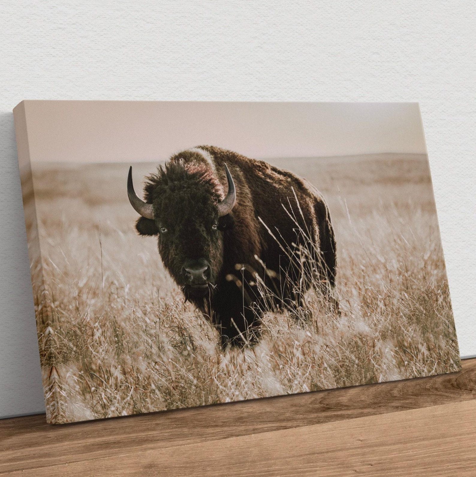 Buffalo Wall Art - Bison Canvas Print - Western American Bison Wall Art ...