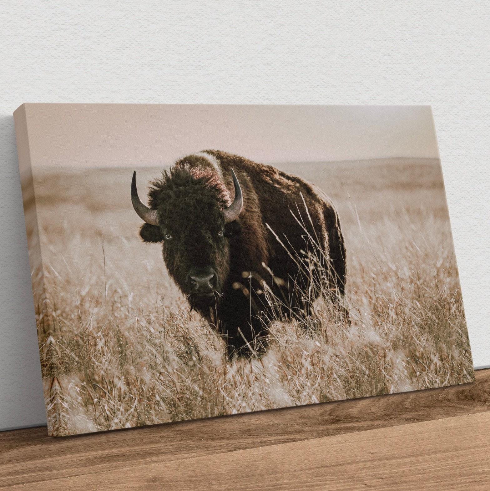 Buffalo Wall Art - Bison Canvas Print - Western American Bison Wall Art ...
