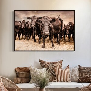 Cattle Wall Art - Black Angus Cow Canvas or Photo Print - Western Artwork for Living Room or Office - Oklahoma Photography